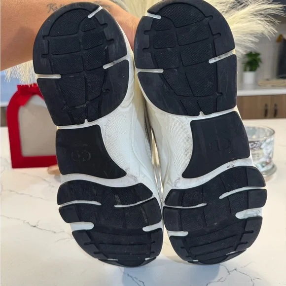 Dior B22 White silver reflection Sneakers
